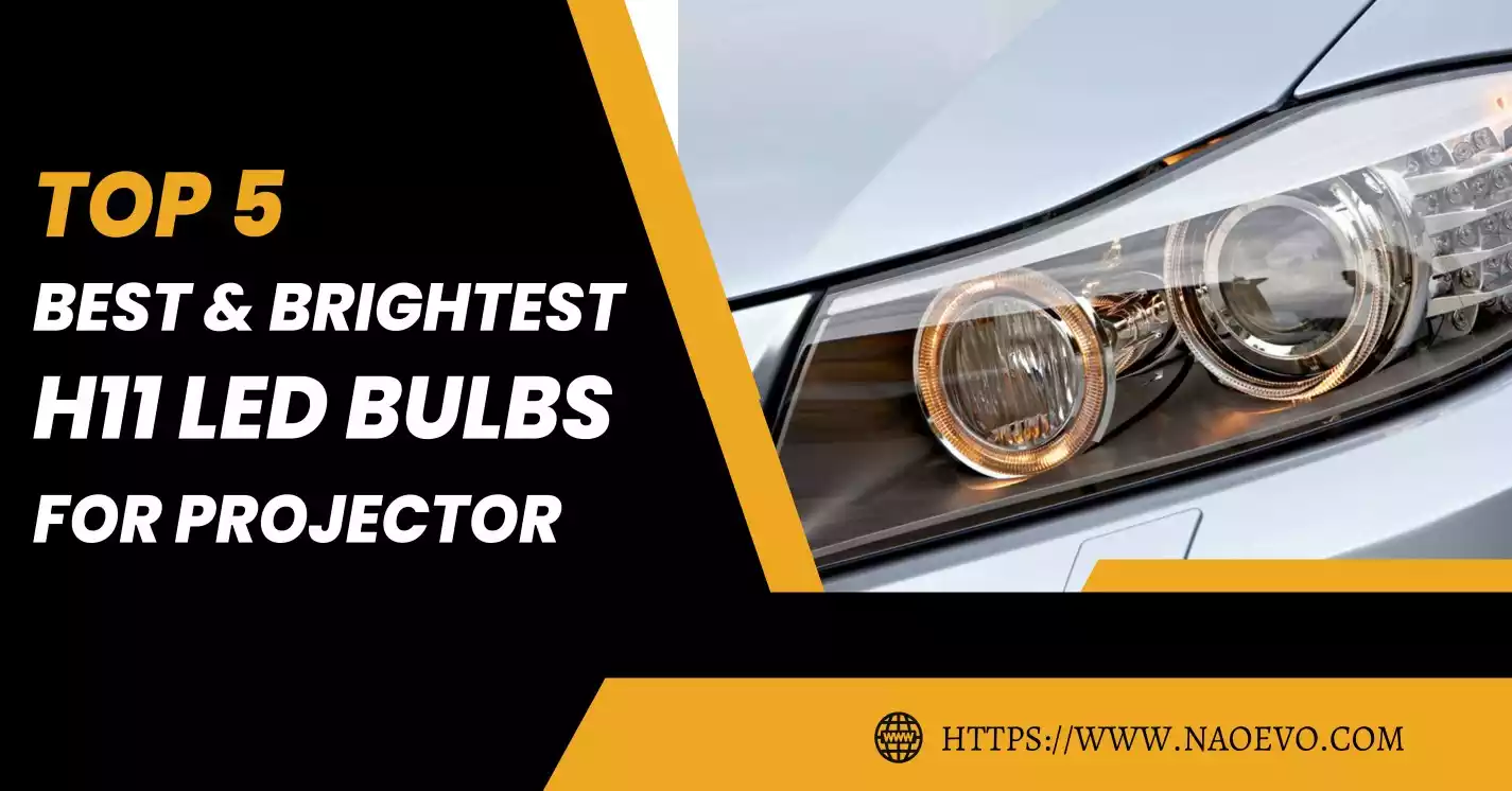 Best & Brightest H11 LED Bulbs For Projector Headlight [Top5] - NAOEVO