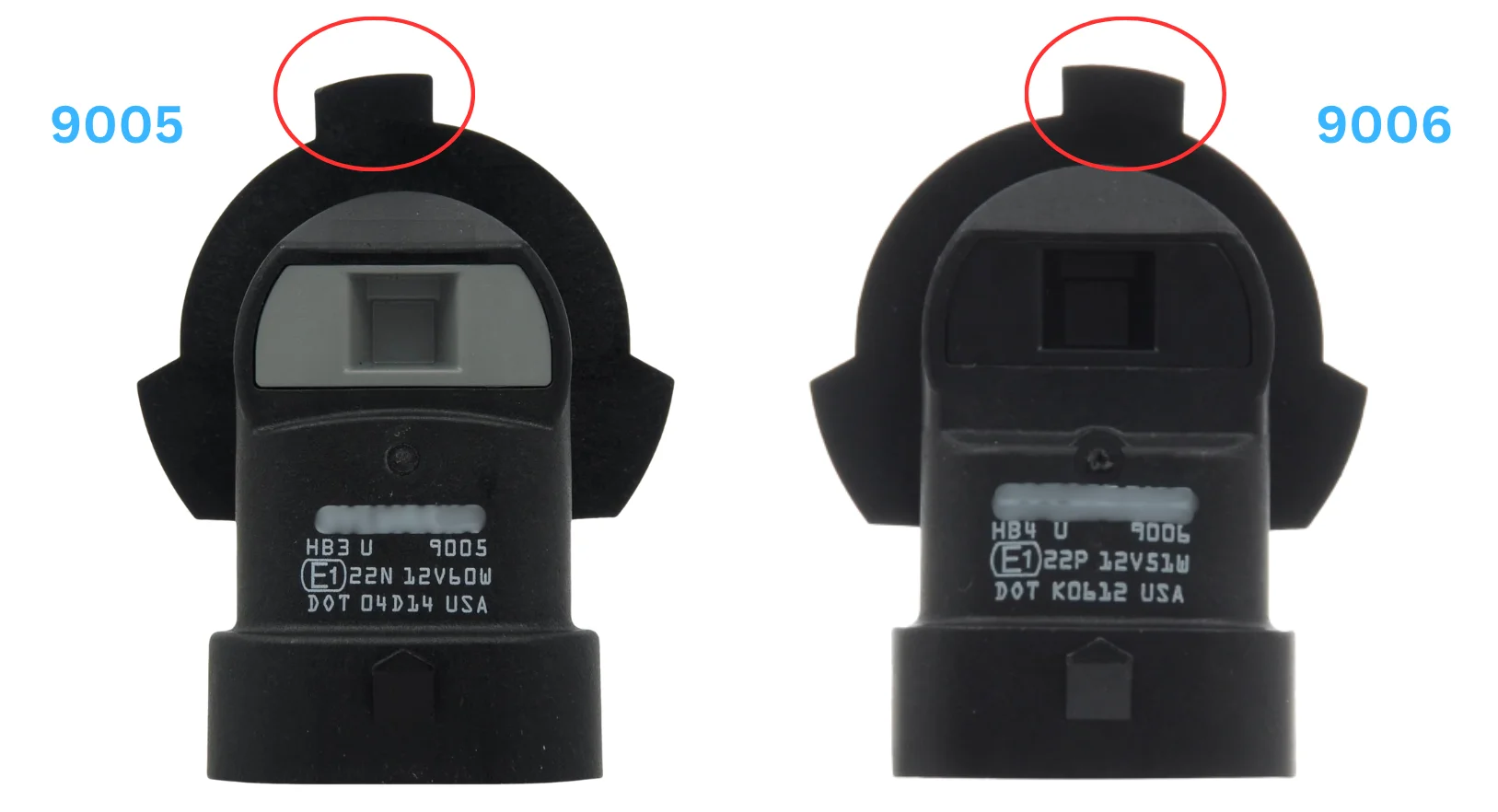 9005 vs 9006 base