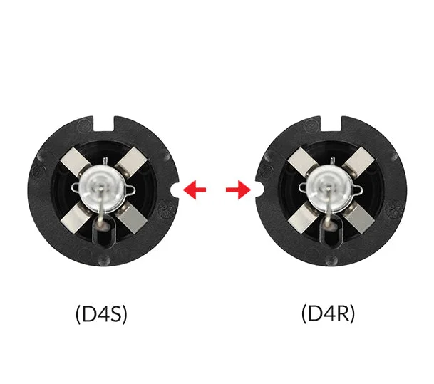 HID Bulb Socket Identification D4S D4R