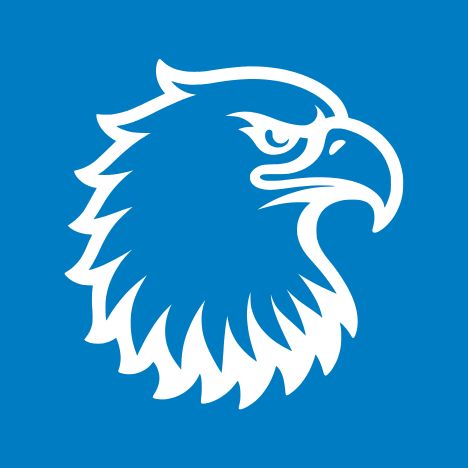Eagle design
