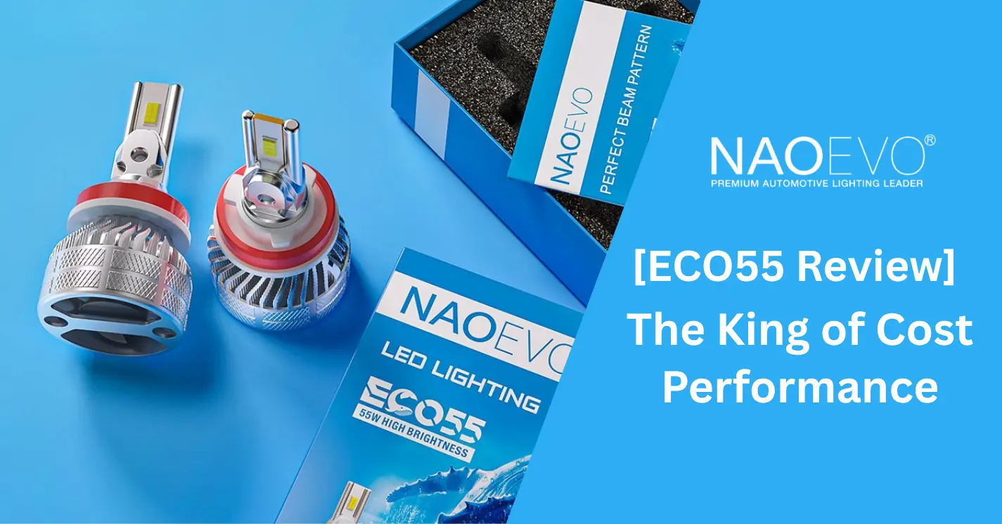 NAOEVO ECO55 Review The King of Cost Performance
